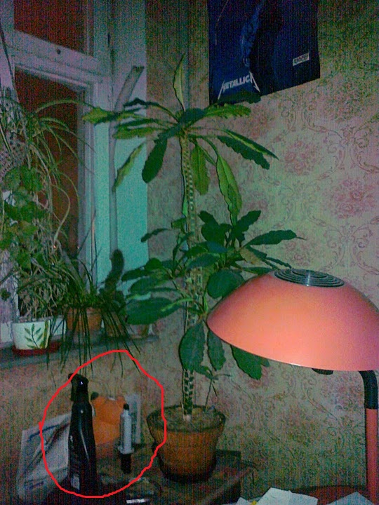 03022011307.jpg