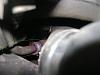 DSC01666-1.jpg