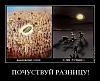t2sr82y52v3j.jpg
