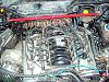 DSC05152.JPG