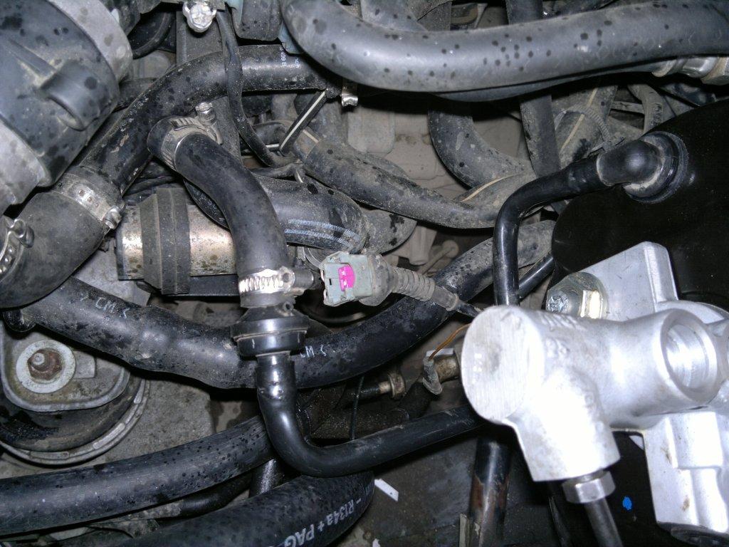 11032011157.jpg