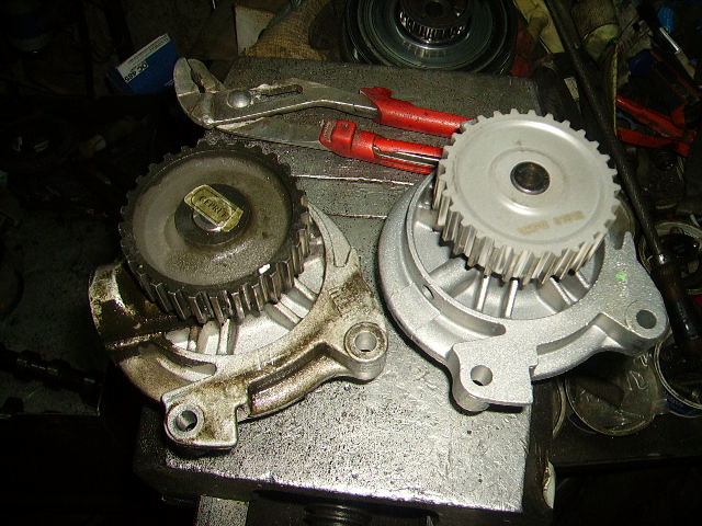 PICT0234.JPG