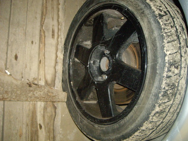 IMGP6177.JPG