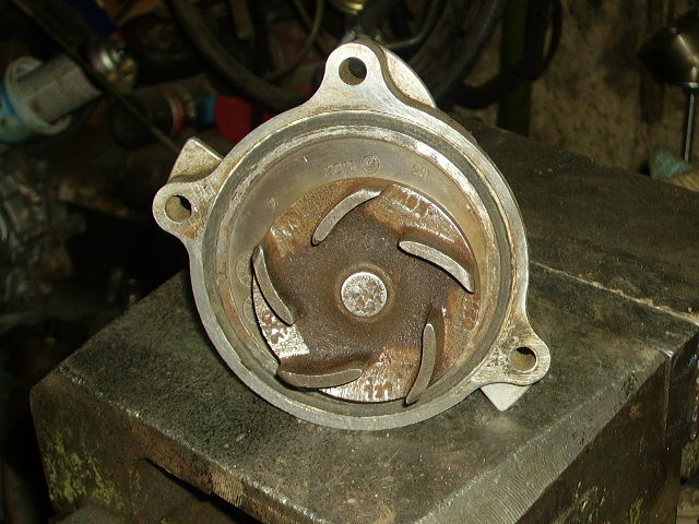 PICT0235.JPG