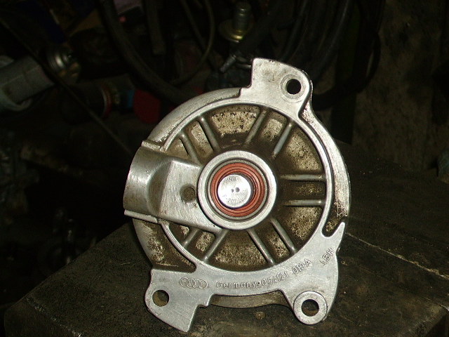 PICT0236.JPG