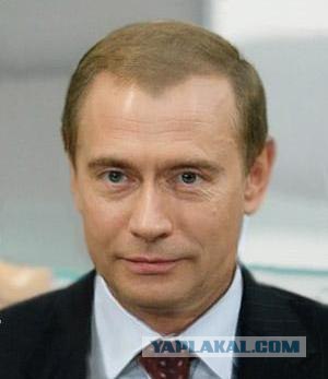 медвепут.jpg