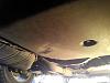 IMG_20150413_113801.jpg