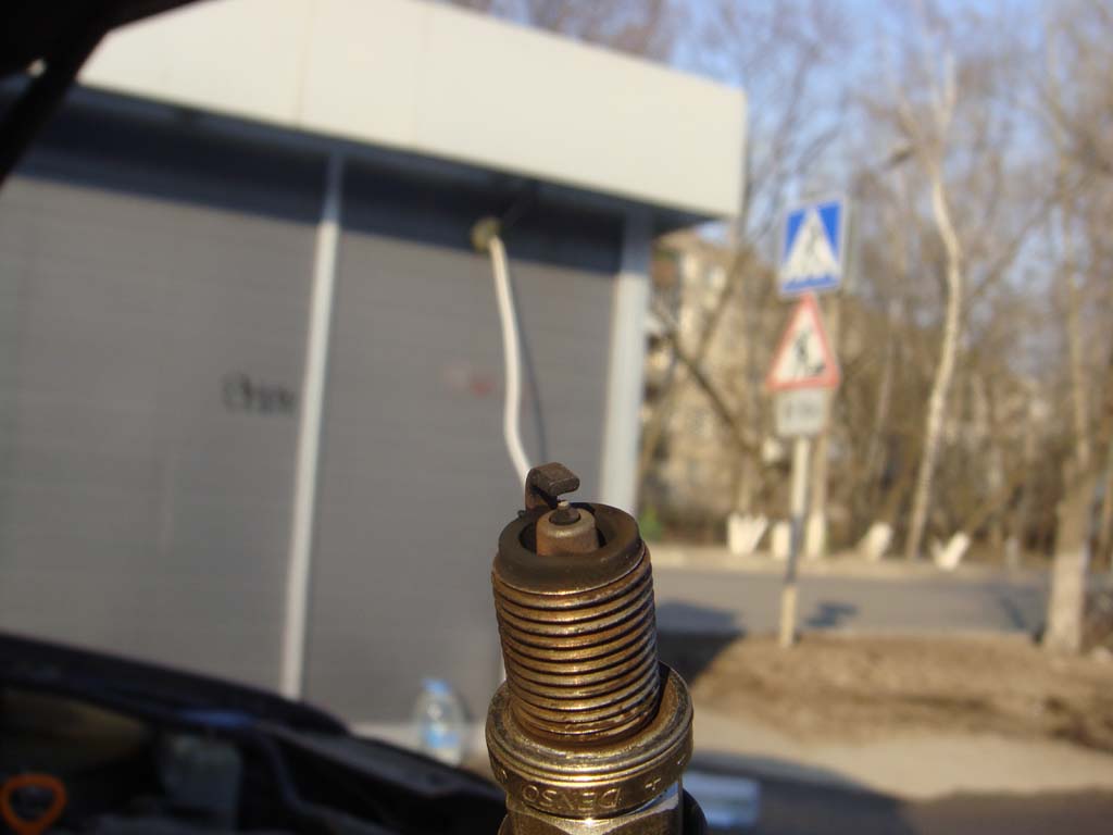 DSC04456.JPG