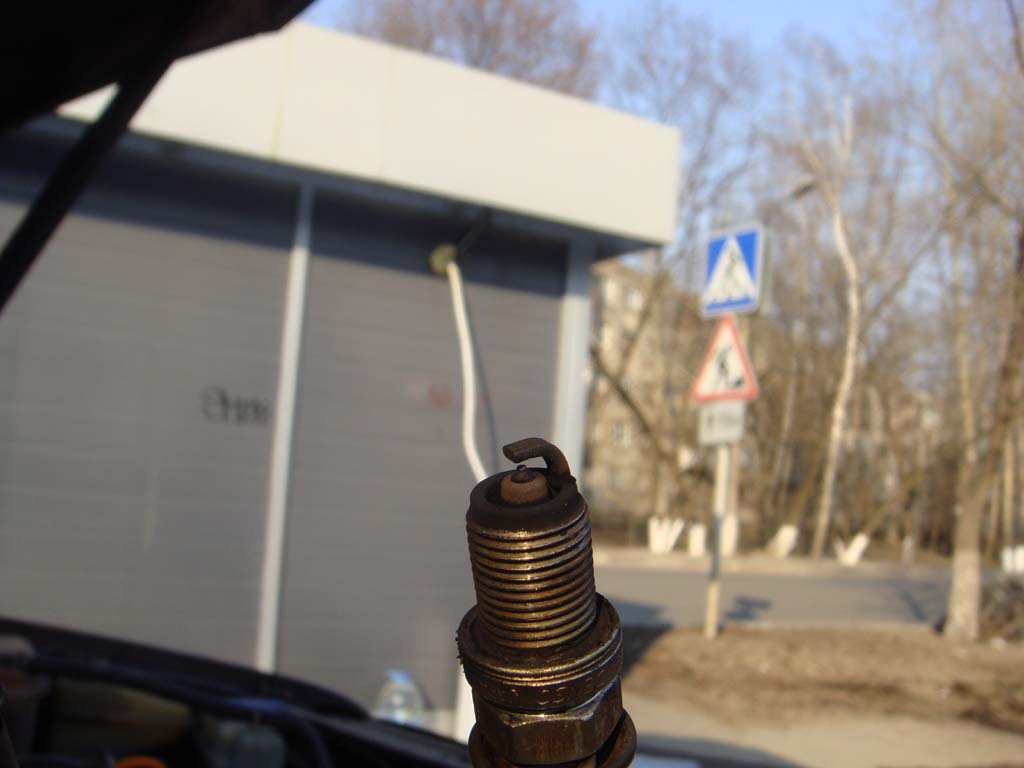 DSC04457.JPG