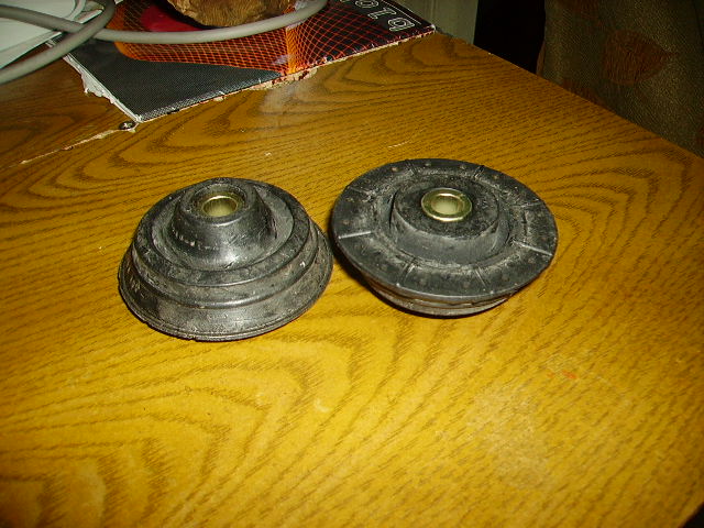 PICT0298.JPG