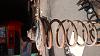 20150529_150737.jpg