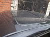DSC01138.JPG