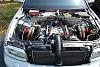 DSC_0717-1.jpg