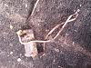 IMG_20150804_190748.jpg