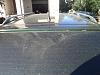 DSC01887.JPG