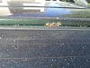 DSC01888.JPG