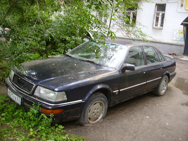 PICT1145.JPG