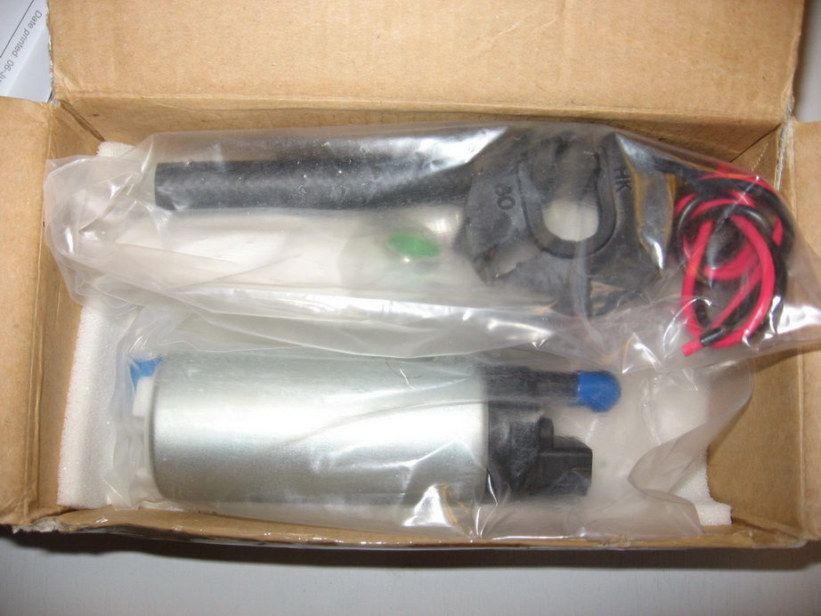 IMG3736.jpg