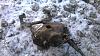 WP_20151227_003.jpg