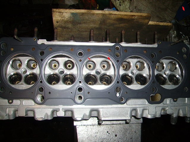 PICT0181.jpg