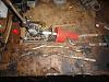 DSC04372.JPG