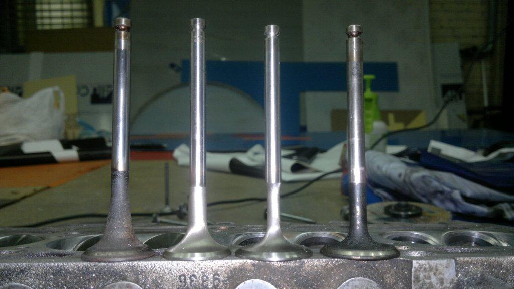 100920117391.jpg