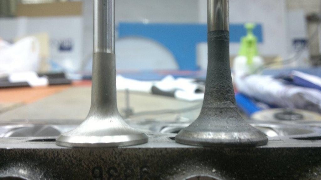 100920117451.jpg