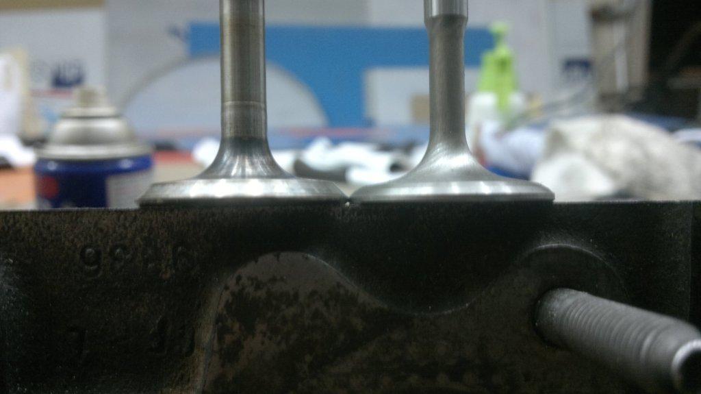 100920117461.jpg