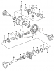 CImage (1).png