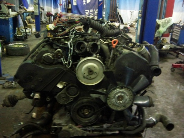 x_a422f651.jpg