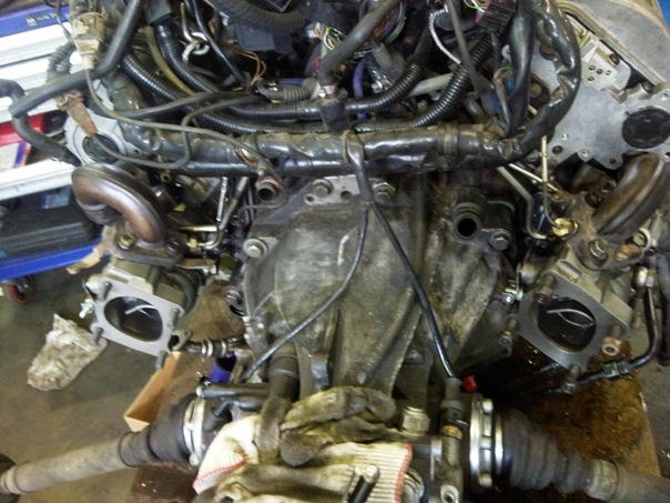 x_414f3284.jpg