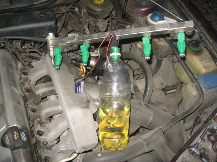 IMG4335.jpg