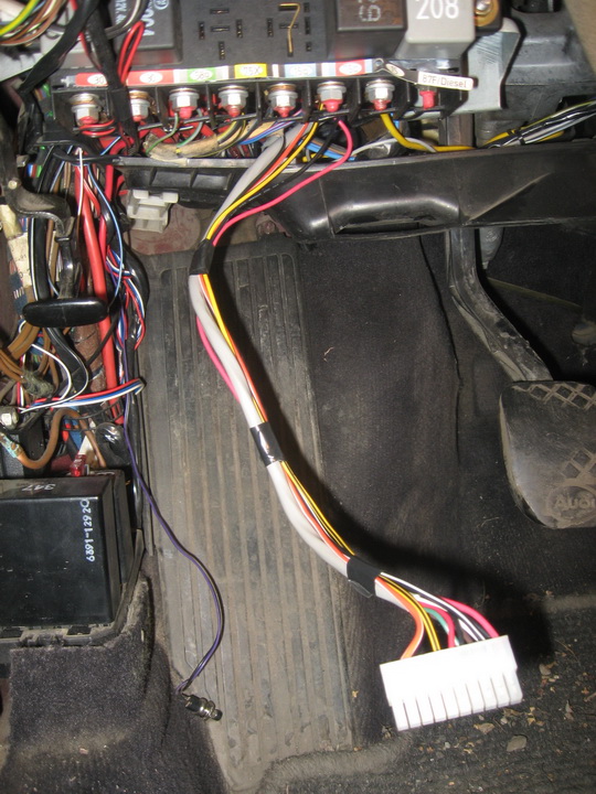 IMG4345.jpg