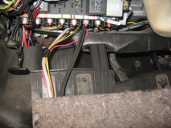 IMG4356.jpg