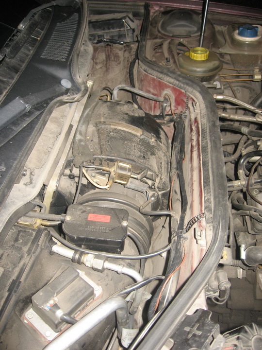 IMG4361.jpg