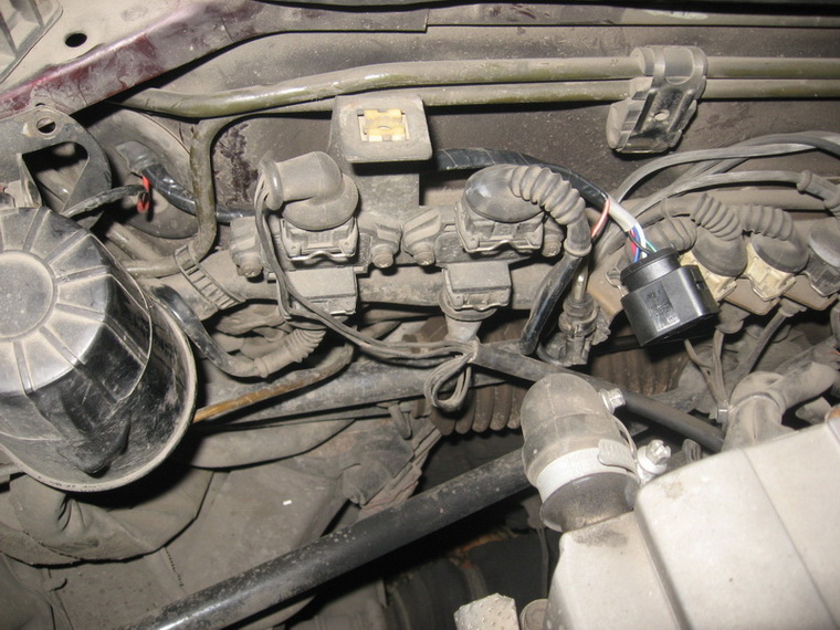 IMG4363.jpg