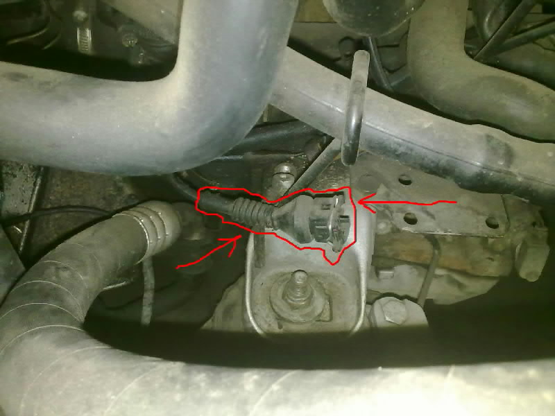 28092011069.jpg