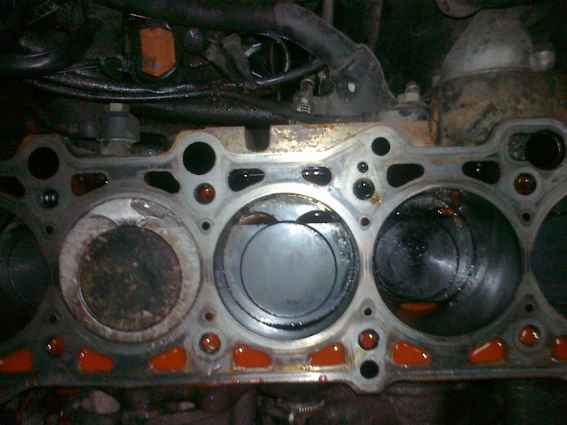03102011371.jpg