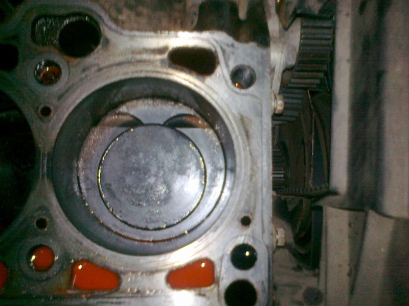 03102011372.jpg