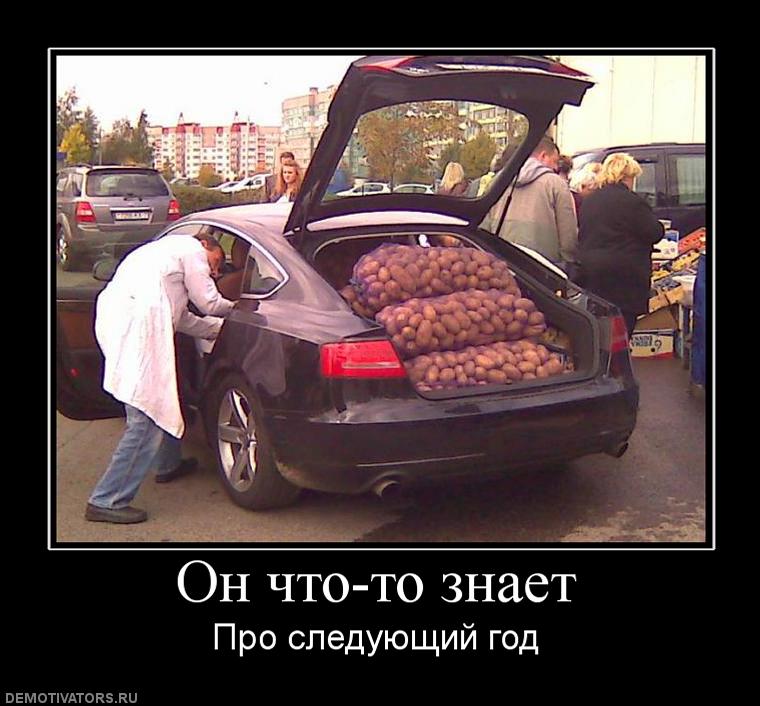 468025_on-chto-to-znaet.jpg