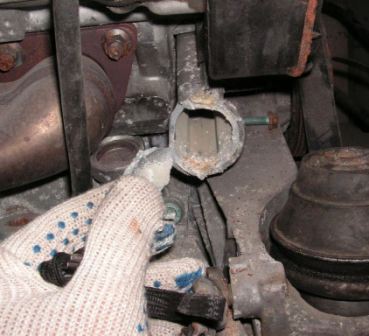 PICT0102.JPG