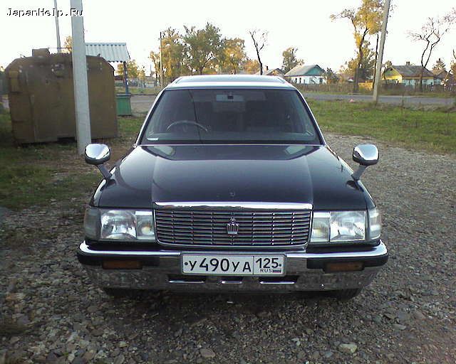 7681175.jpg