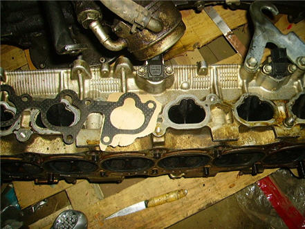 pict1002.1.jpg