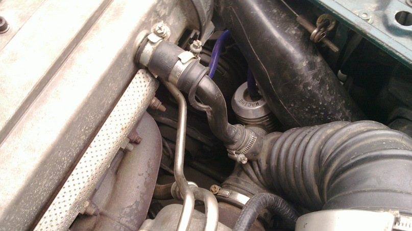 y_c76601e4.jpg