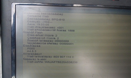 IMAG0040.jpg