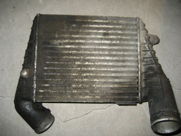 x_390b85b4.jpg