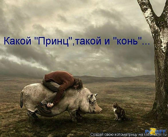getImage (5).jpg