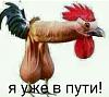 IMG-20161231-WA0011.jpg