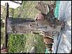 IMG_20190501_192555.jpg