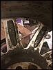 IMG-20190526-WA0007.jpg